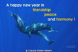 A happy new year to all members! by Claudia Weber-Gebert 